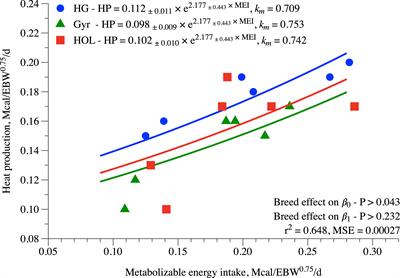 Energy requirements of Holstein, Gyr, and Holstein × Gyr crossbred heifers using the respirometry technique